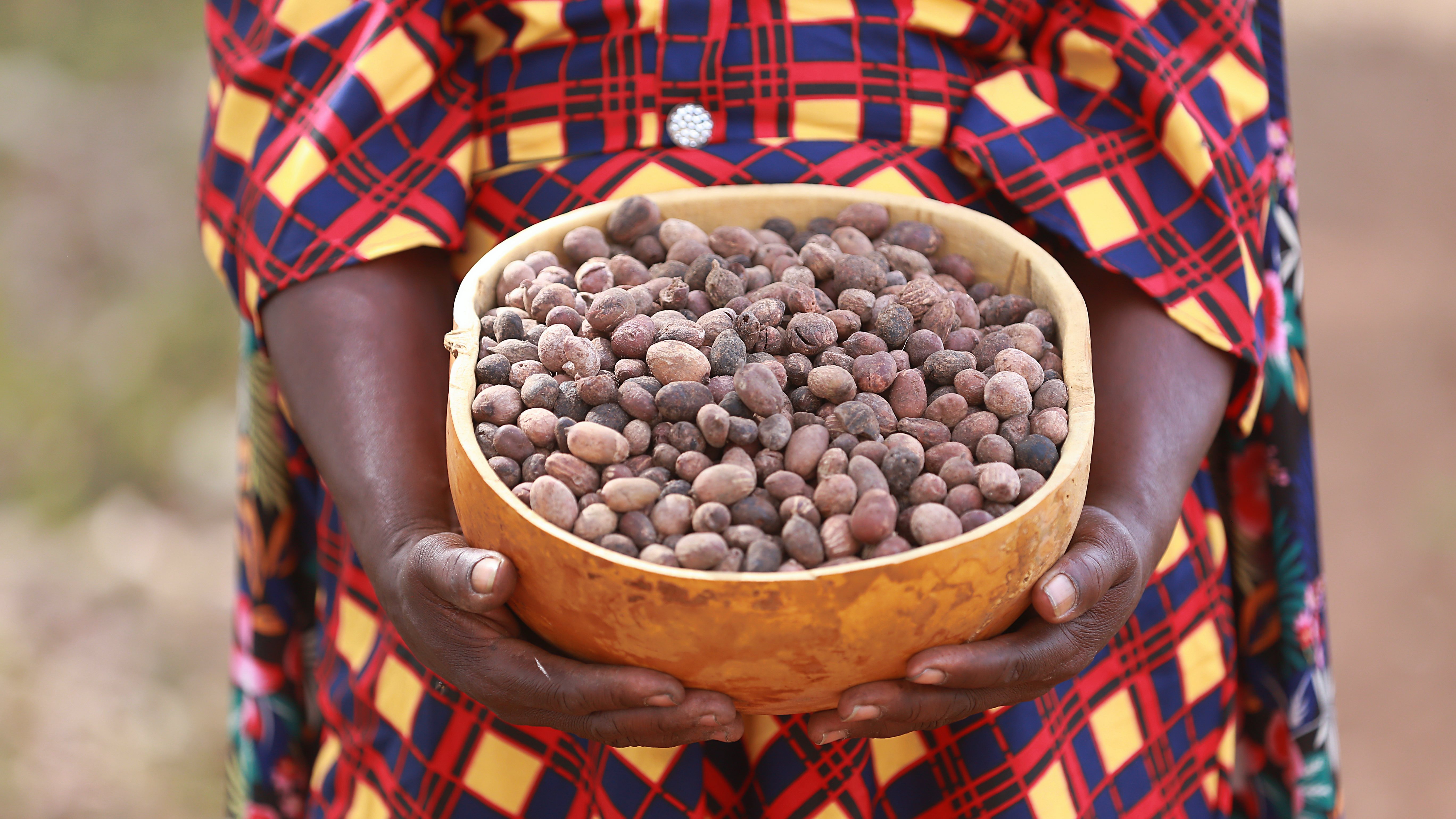 Eine Frau mit dunklem Hautton ist zu sehen, die einen Behälter auf dem Kopf trägt. Sie geht durch ein grünes Feld, auf dem Bäume im Hintergrund verteilt sind. Die Frau balanciert den Behälter mit Geschicklichkeit. Sie trägt ein lebhaft gemustertes Kleid und hat ein lila Tuch über einer Schulter drapiert.